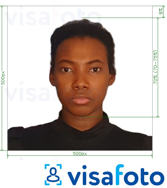 نمونه ی یک عکس برای کنیا e-visa online 500x500 pixels با مشخصات دقیق